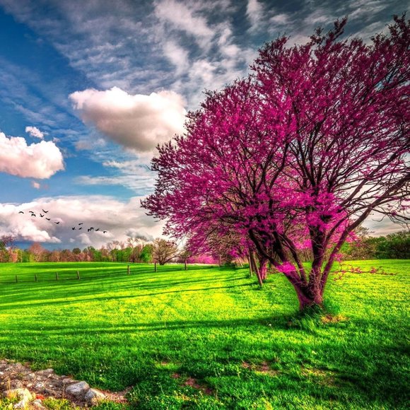 Meet the Posher Other - Meet your Posher, Kimberly